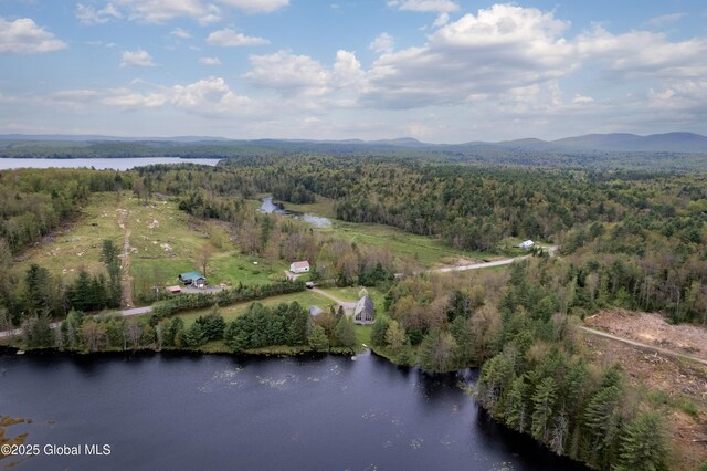 324 County Highway 112, Bleecker, NY 12078 - aerial view of property's location with a heavily wooded area and a nearby body of water