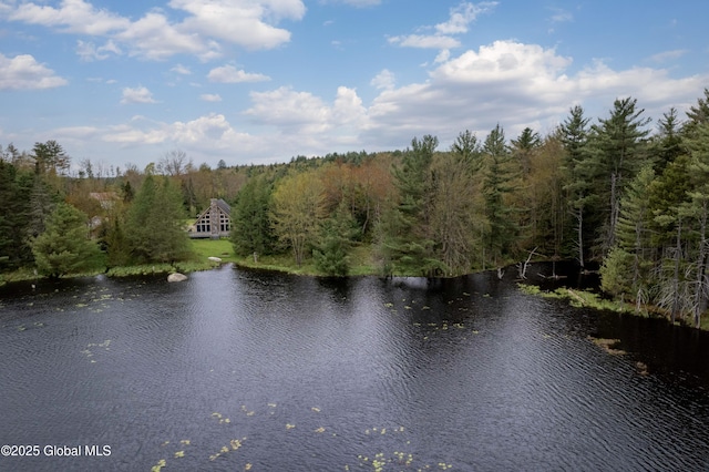 324 County Highway 112, Bleecker, NY 12078 - water view featuring a forest
