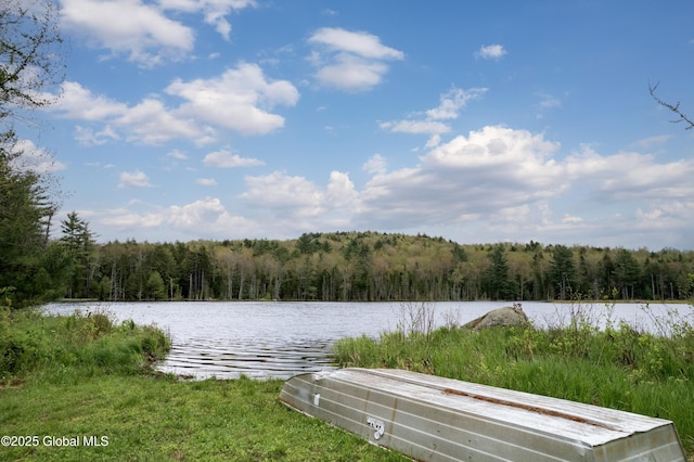 324 County Highway 112, Bleecker, NY 12078 - water view with a forest