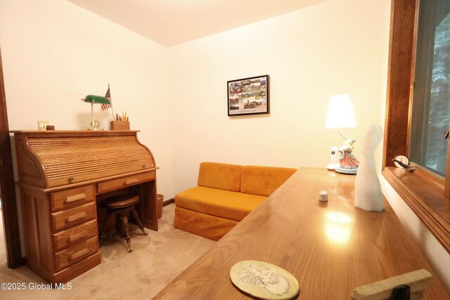 441 E Kelm Pond Rd, Warrensburg, NY 12885 - view of carpeted office space