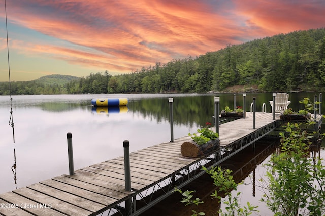 441 E Kelm Pond Rd, Warrensburg, NY 12885 - dock area with a water view and a forest view