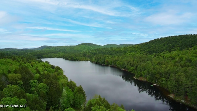 441 E Kelm Pond Rd, Warrensburg, NY 12885 - water view with a heavily wooded area and a mountain backdrop
