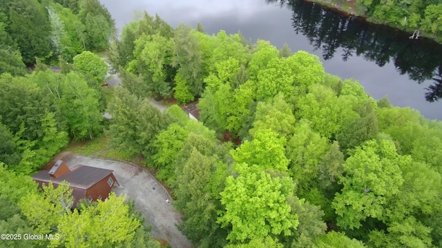 441 E Kelm Pond Rd, Warrensburg, NY 12885 - aerial view of property and surrounding area