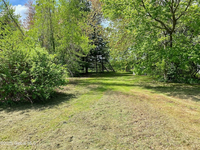 6963 Fuller Station Rd, Schenectady, NY 12303 - view of grassy yard