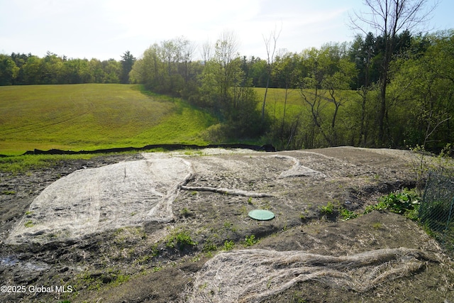 40 W Starbuck Ln, Fort Ann, NY 12827 - view of yard