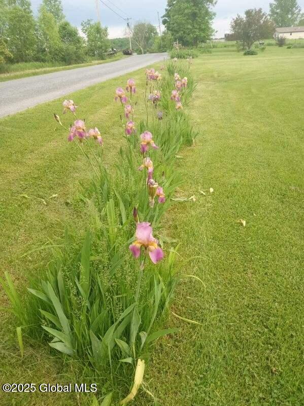 40 W Starbuck Ln, Fort Ann, NY 12827 - view of green lawn