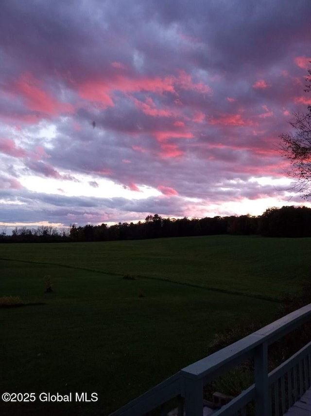 40 W Starbuck Ln, Fort Ann, NY 12827 - yard at dusk with a yard