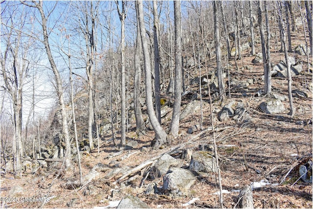 L48.4 Durkin Rd, Johnsburg, NY 12853 - photo 41