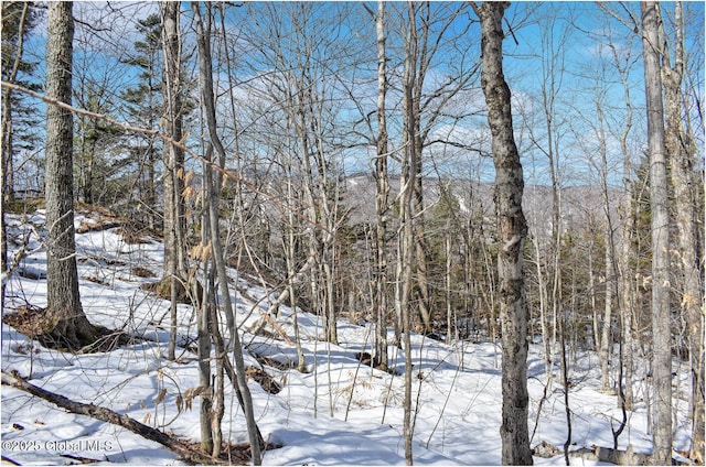 L48.4 Durkin Rd, Johnsburg, NY 12853 - photo 51