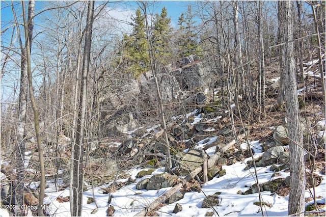 L48.4 Durkin Rd, Johnsburg, NY 12853 - photo 39