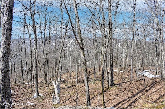 L48.4 Durkin Rd, Johnsburg, NY 12853 - photo 20