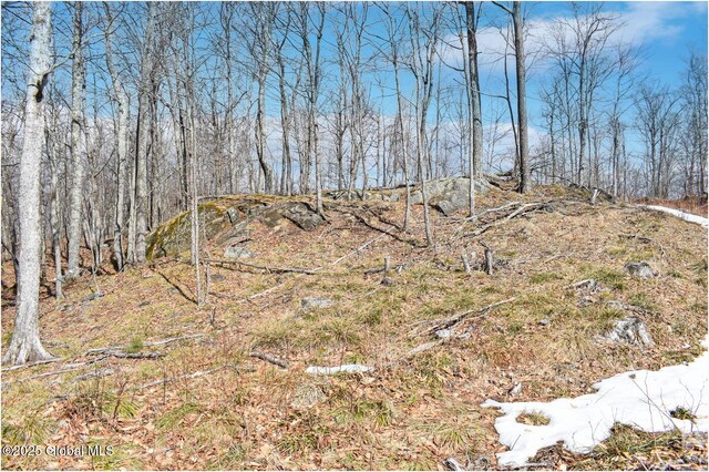 L48.4 Durkin Rd, Johnsburg, NY 12853 - photo 58