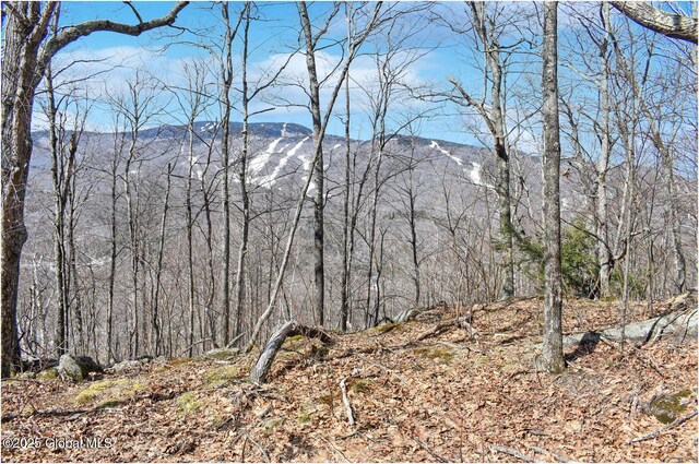 L48.4 Durkin Rd, Johnsburg, NY 12853 - photo 15
