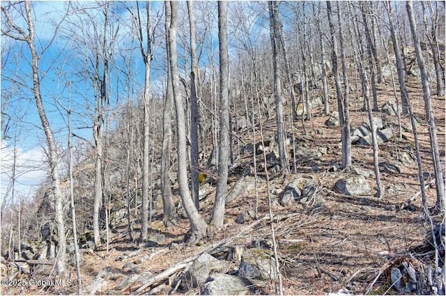 L48.4 Durkin Rd, Johnsburg, NY 12853 - photo 42