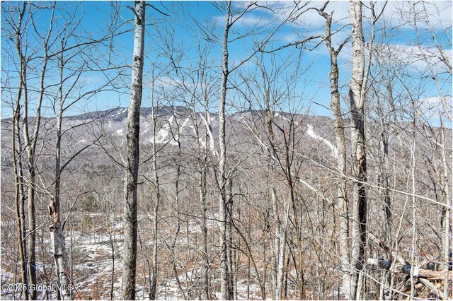 L48.4 Durkin Rd, Johnsburg, NY 12853 - photo 18