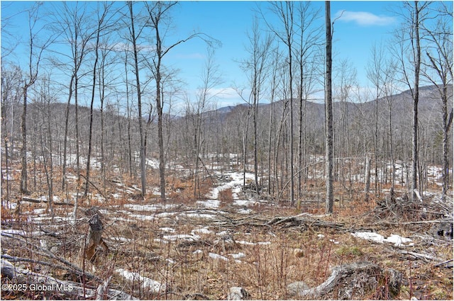 L48.4 Durkin Rd, Johnsburg, NY 12853 - photo 33