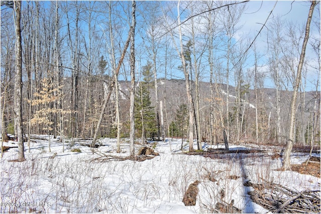 L48.4 Durkin Rd, Johnsburg, NY 12853 - photo 52