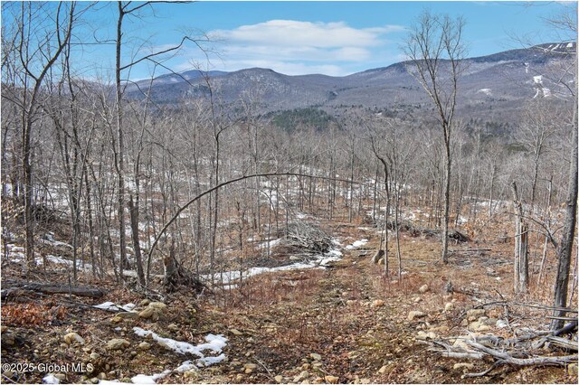 L48.4 Durkin Rd, Johnsburg, NY 12853 - photo 29