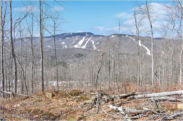L48.4 Durkin Rd, Johnsburg, NY 12853 - photo 22