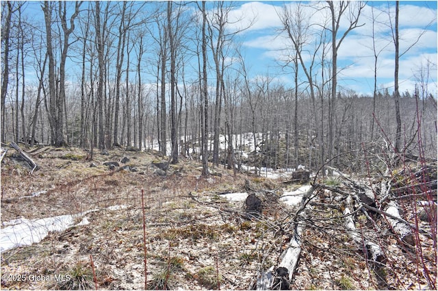 L48.4 Durkin Rd, Johnsburg, NY 12853 - photo 30