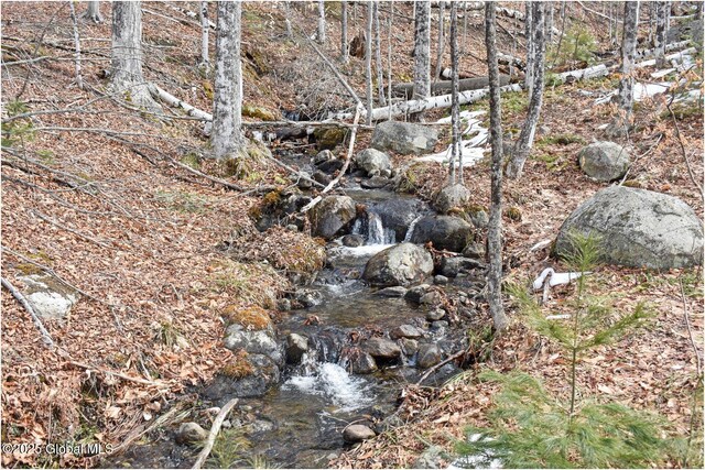 L48.4 Durkin Rd, Johnsburg, NY 12853 - photo 27