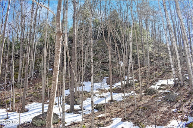 L48.4 Durkin Rd, Johnsburg, NY 12853 - photo 40