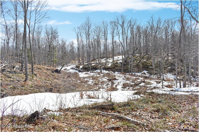 L48.4 Durkin Rd, Johnsburg, NY 12853 - photo 34
