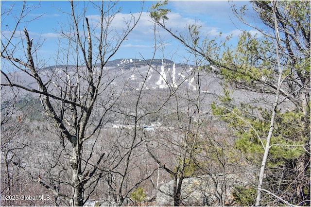 L48.4 Durkin Rd, Johnsburg, NY 12853 - photo 2