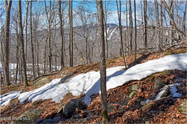 L48.4 Durkin Rd, Johnsburg, NY 12853 - photo 47