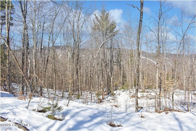 L48.4 Durkin Rd, Johnsburg, NY 12853 - photo 53