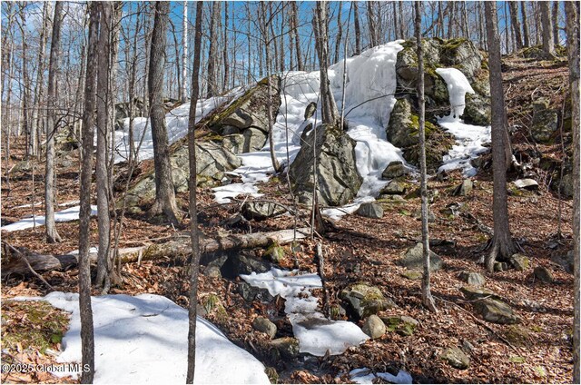 L48.4 Durkin Rd, Johnsburg, NY 12853 - photo 46