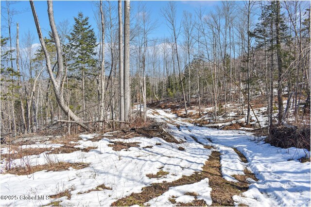 L48.4 Durkin Rd, Johnsburg, NY 12853 - photo 54