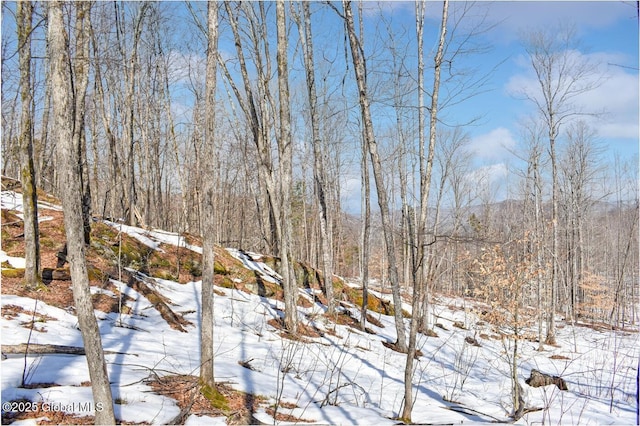 L48.4 Durkin Rd, Johnsburg, NY 12853 - photo 55