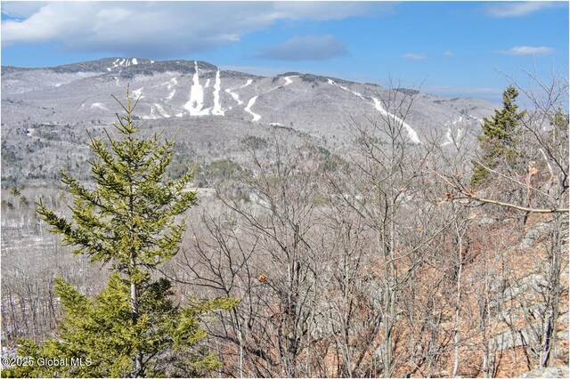 L48.4 Durkin Rd, Johnsburg, NY 12853 - photo 3