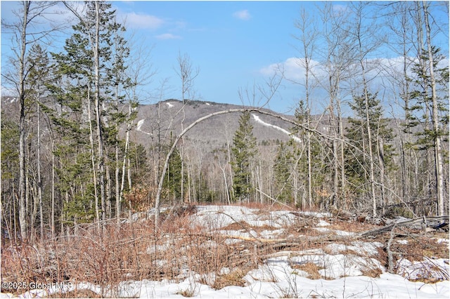 L48.4 Durkin Rd, Johnsburg, NY 12853 - photo 12