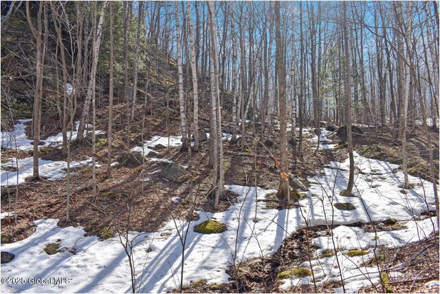 L48.4 Durkin Rd, Johnsburg, NY 12853 - photo 50