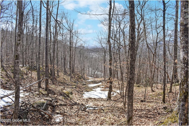 L48.4 Durkin Rd, Johnsburg, NY 12853 - photo 32