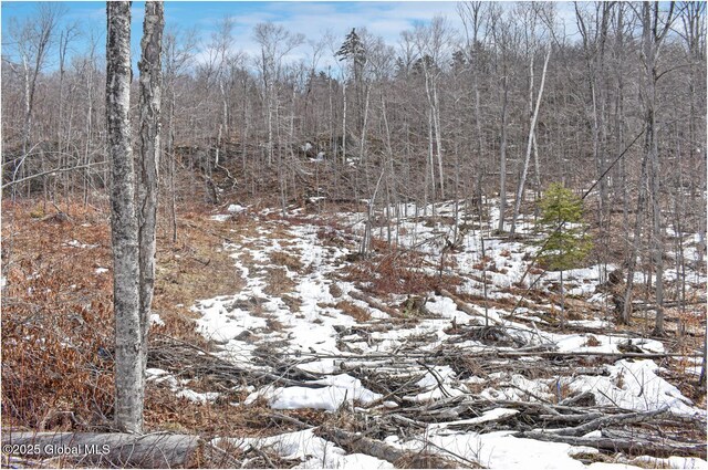 L48.4 Durkin Rd, Johnsburg, NY 12853 - photo 56