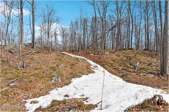 L48.4 Durkin Rd, Johnsburg, NY 12853 - photo 57