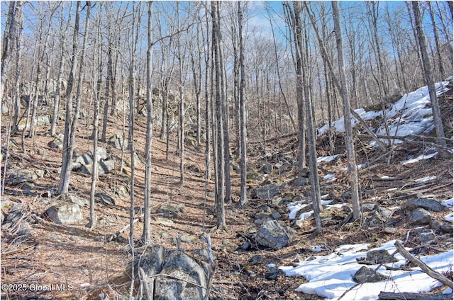 L48.4 Durkin Rd, Johnsburg, NY 12853 - photo 36