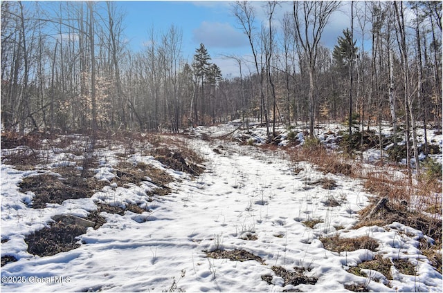 L48.4 Durkin Rd, Johnsburg, NY 12853 - photo 31