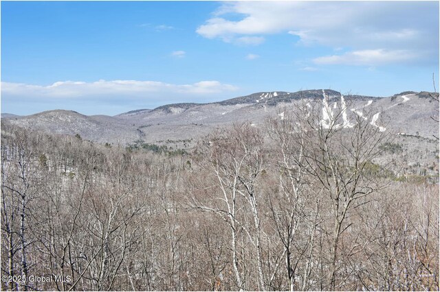 L48.4 Durkin Rd, Johnsburg, NY 12853 - photo 11