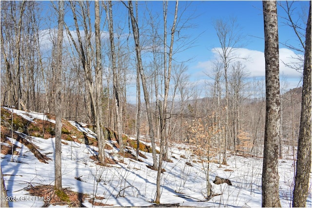 L48.4 Durkin Rd, Johnsburg, NY 12853 - photo 59