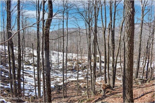 L48.4 Durkin Rd, Johnsburg, NY 12853 - photo 61