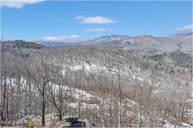 L48.4 Durkin Rd, Johnsburg, NY 12853 - photo 9