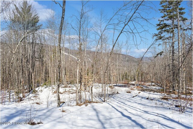 L48.4 Durkin Rd, Johnsburg, NY 12853 - photo 62