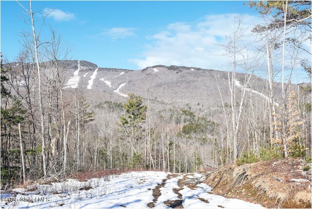 L48.4 Durkin Rd, Johnsburg, NY 12853 - photo 25