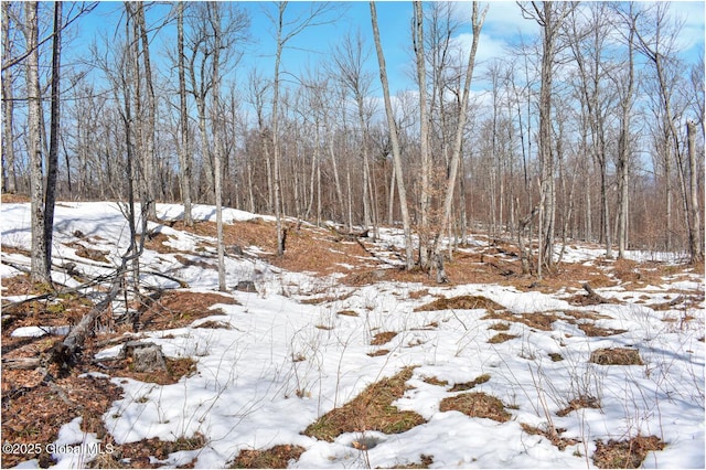 L48.4 Durkin Rd, Johnsburg, NY 12853 - photo 64