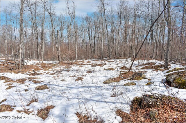 L48.4 Durkin Rd, Johnsburg, NY 12853 - photo 65