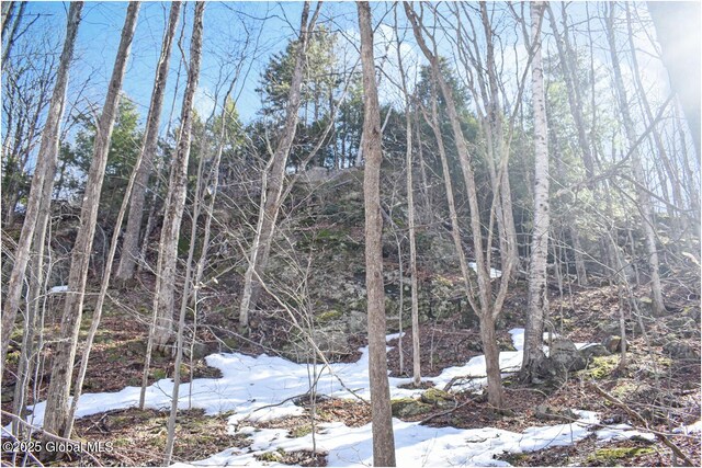 L48.4 Durkin Rd, Johnsburg, NY 12853 - photo 49